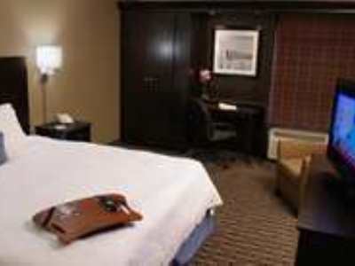 Hotel Spark By Hilton Tampa Brandon